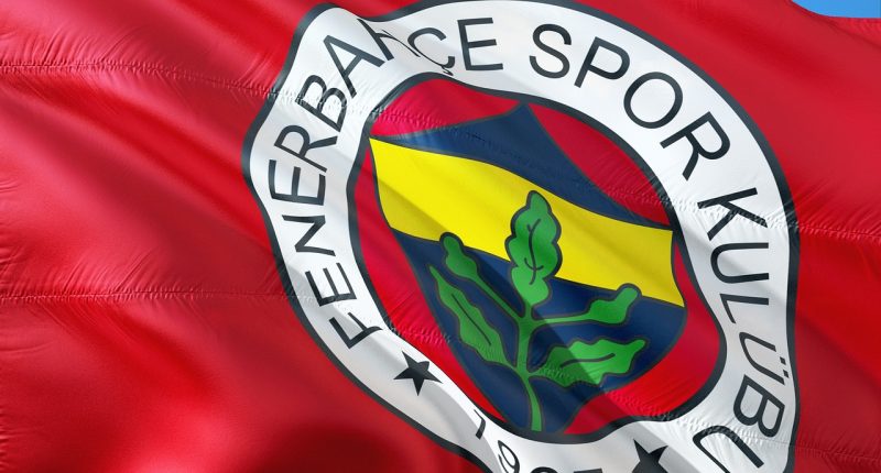 fenerbahce-benfica-sampiyonlar-ligi-play-off